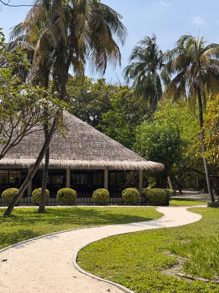 Tropical hut surrounded by palm trees and greenery on a sunny day, ideal for travel and relaxation themes.